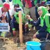 Gubernur Jatim Ajak Masyarakat Tanam Cemara Udang di Sepanjang Pantai