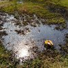Pengiriman Limbah Cair di Areal Sawah Dihentikan, Sampel Diuji