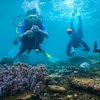 Menikmati Tarian Ikan Nemo di Laut Banyuwangi