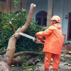 Angin Kencang di Kutorejo Robohkan Pohon dan Rusak Puluhan Rumah Warga