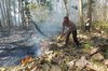 Hutan Jati Milik Perhutani di Malang Terbakar
