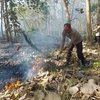 Hutan Jati Milik Perhutani di Malang Terbakar