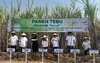 Produktivitas Tebu di Malang Naik 9,4 Persen