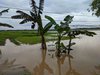 220 Hektar Sawah di Ponorogo Terendam, Petani Tak Ikut Asuransi