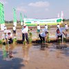 Petani Padi Dapat Proteksi Asuransi dari Petrokimia dan Jasindo