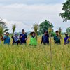 Awal Tahun 2023, Petani Surabaya Panen 22,4 Ton Padi di Lahan Milik Pemkot
