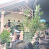 Rumah Kontrakan di Jombang Disulap Jadi Kebun Ganja, Polisi Amankan Ratusan Batang