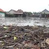 Pantai Utara Probolinggo Banjir Rob, Tambak Garam dan Ikan Gagal Panen