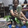 Hadapi Resesi Pandemi, Mahasiswa di Banyuwangi Ini Tekuni Bisnis Tanaman Botol