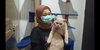 Pandemi Covid-19, Bisnis Kucing Ras Justru Melejit