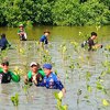 Peringati Hari Bumi Sedunia, Polres Gresik Tanam Pohon Mangrove di Kali Mireng