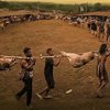 Kritik Film Papua Jadi Alarm Evaluasi Proyek Strategis