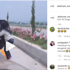 Emak-emak Ambil Tanaman di Tol, Bikin Heboh Warganet