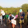 Ribuan Bibit Mangrove Ditanam di Pantai Permata Probolinggo di Hari Lahan Basah Sedunia