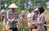 Dukung Swasembada Pangan, Polres Madiun Kembali Panen Jagung