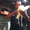 Warga Mojosari Beternak Ayam Putih Tembus yang Biasa Dipercaya Digunakan Ritual