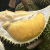 Mengangkat Pamor Durian Setepong di Kalangan Pelancong