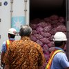 Pengamat Ingatkan Kerawanan Penunjukkan Bulog Impor Bawang Putih