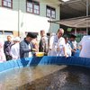 Santri Pondok Pesantren di Kota Probolinggo Ikuti Sekolah Lapang Budidaya Ikan Lele