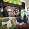 Burung Tanpa Dokumen Bernilai Jutaan Rupiah Gagal Masuk Jatim