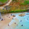 Ini Rekomendasi 7 Pantai di Pacitan yang Patut Dikunjungi