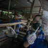 Belum Genap 10 Persen Vaksin PMK Disuntikkan pada Hewan Ternak