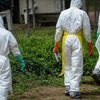 Kematian Akibat Wabah Ebola di Kongo Renggut 332 Jiwa
