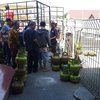 Mulai Langka, Warga Kabupaten Mojokerto Rasakan Kesulitan Mencari LPG 3 Kilogram