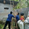 Warga Blitar Disengat Tawon Ndas