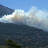 Hutan Pinus Gunung Lawu Terbakar