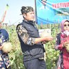 Pemkab Lamongan Dorong Petani Terus Produksi Melon