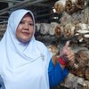 Budidaya Jamur Tiram, Warga Probolinggo Raup Omzet Rp45 Juta per Bulan
