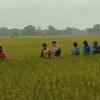 Sempat Kabur ke Sawah, Dua Pelaku Curanmor Dibekuk Polisi