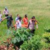 Pamit Ke Istri Cari Rumput, Petani Lansia di Lamongan Meninggal di Sawah