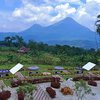 Sehati Kafe, Tempat Nongkrong dengan Panorama Gunung Penanggungan dan Welirang
