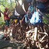 Kisah Kakek Sebatang Kara Bertahan Hidup di Hutan Mangrove Probolinggo