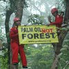 KLHK Lepas 5,4 Juta Hektare Hutan untuk Sawit