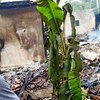 Rumah Terbakar, Penghuni Sedang Tidur Nyaris Terpanggang Api