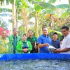 Warga Pesantren di Probolinggo Ikuti Sekolah Lapang Budidaya Lele