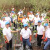 Pemkot Tanam 5.000 Mangrove untuk Tahan Abrasi dan Erosi
