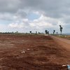 Kisah Jaswadi, Pesanggem Tuban yang Kehilangan Lahan Garapan Usai Kunjungan Presiden Prabowo