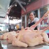 Harga Ayam Broiler Rp32.000 per Kilogram di Probolinggo