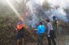 300 Hektar Hutan dan Lahan di Jatim Terbakar