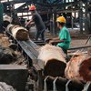 Dana Otsus Ratusan Triliun, Mengapa Kritik Papua Belum Surut?