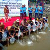 Penyebaran Benih Ikan Kakap Putih untuk Memperkaya Populasi