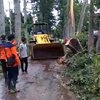 Tim Gabungan Kerahkan Alat Berat Bersihkan Pohon Tumbang