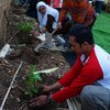 Komunitas Banyuwangi Berkebun Reboisasi dengan 1.000 Bibit Sawo Kecik