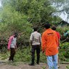 Mojokerto Diguyur Hujan Deras Disertai Angin Kencang, Rumpun Bambu Tumbang Timpa Rumah Warga