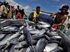 Konsumsi Ikan Sulsel Lampaui Target Nasional