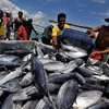 Konsumsi Ikan Sulsel Lampaui Target Nasional